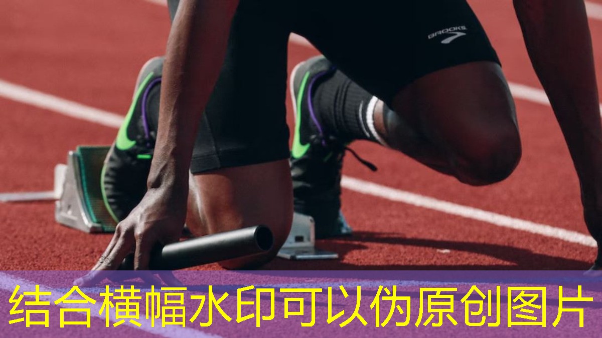室內健身最好器材是什么