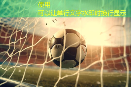 運動場館在城市防災減災中扮演了什么角色？