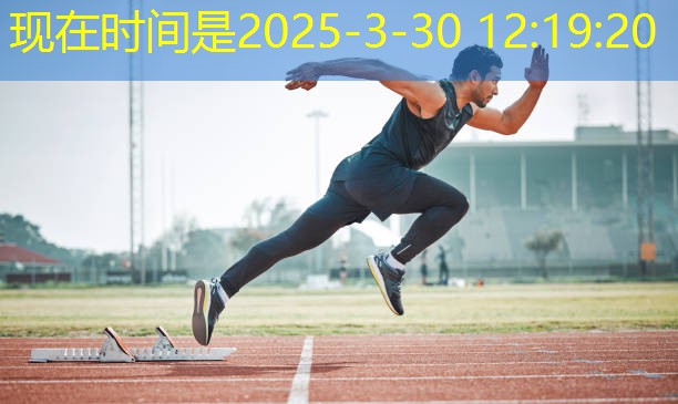 健身器材踏步機大全