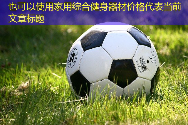 家用綜合健身器材價(jià)格