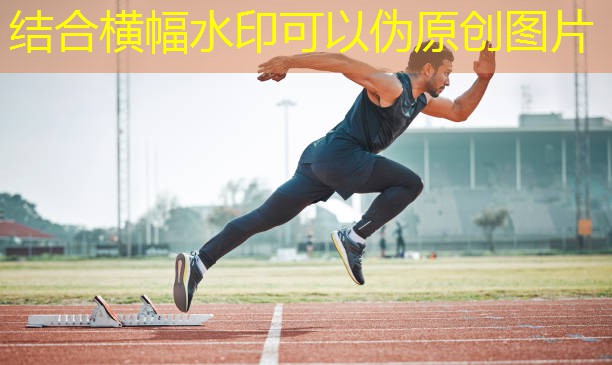 快速修復肌肉疲勞：最佳恢復型健身器械